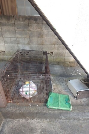 グリーンヒル国分寺の物件内観写真